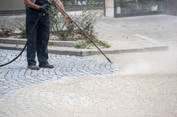 Best Pre-Holiday Cleaning  in Carey, OH