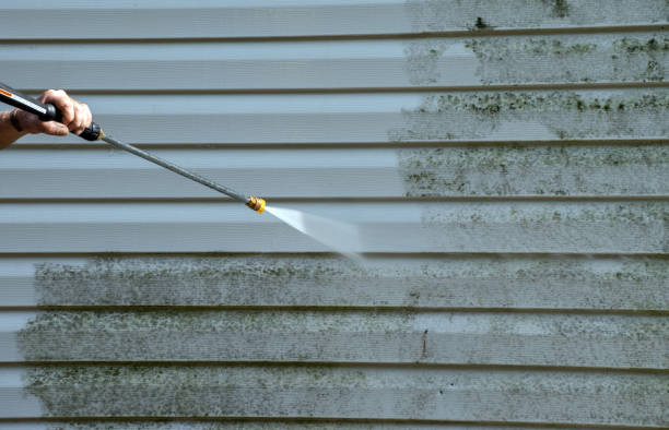 Best Roof Washing  in Carey, OH