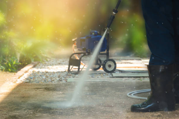 Best Animal Enclosure Cleaning  in Carey, OH
